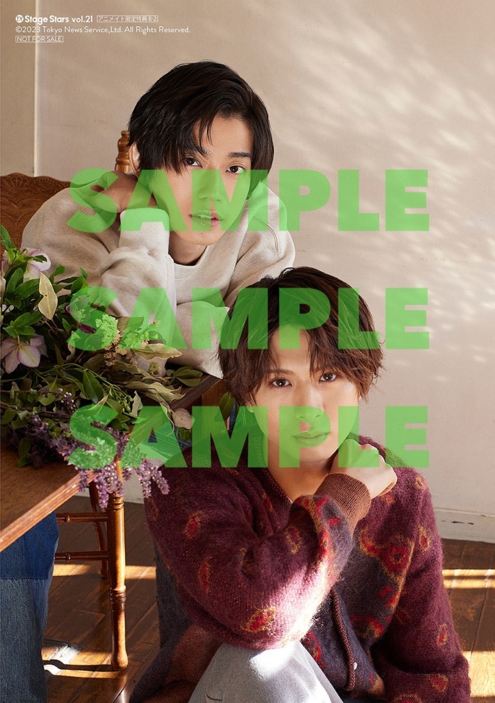 高橋健介＆岡宮来夢が表紙を飾る、「TVガイド Stage Stars vol.21」発売中　裏表紙は後藤大・笹森裕貴ら イメージ画像